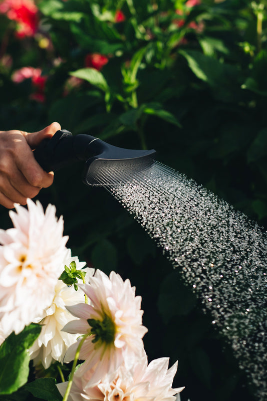 An image of a hand holding a Fan Spray Nozzle being used to water a garden, with pink flowers in the foreground and leafy hedges in the background.