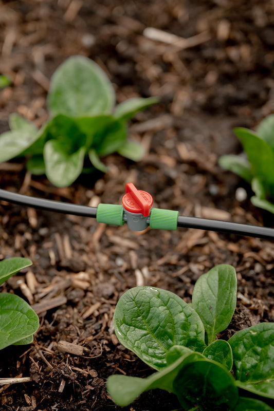 Flow control valve connected to black mini sprinkler tube in veggie garden