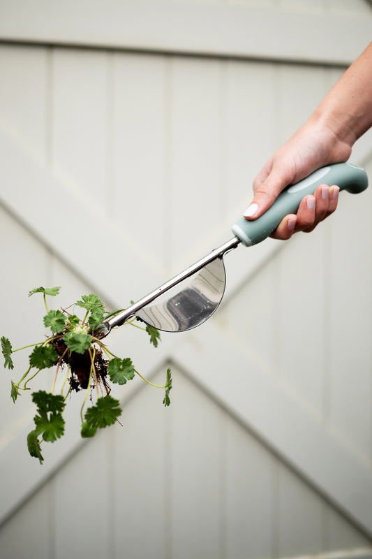 person holding hand weeder with pulled weed on it against white garage door 