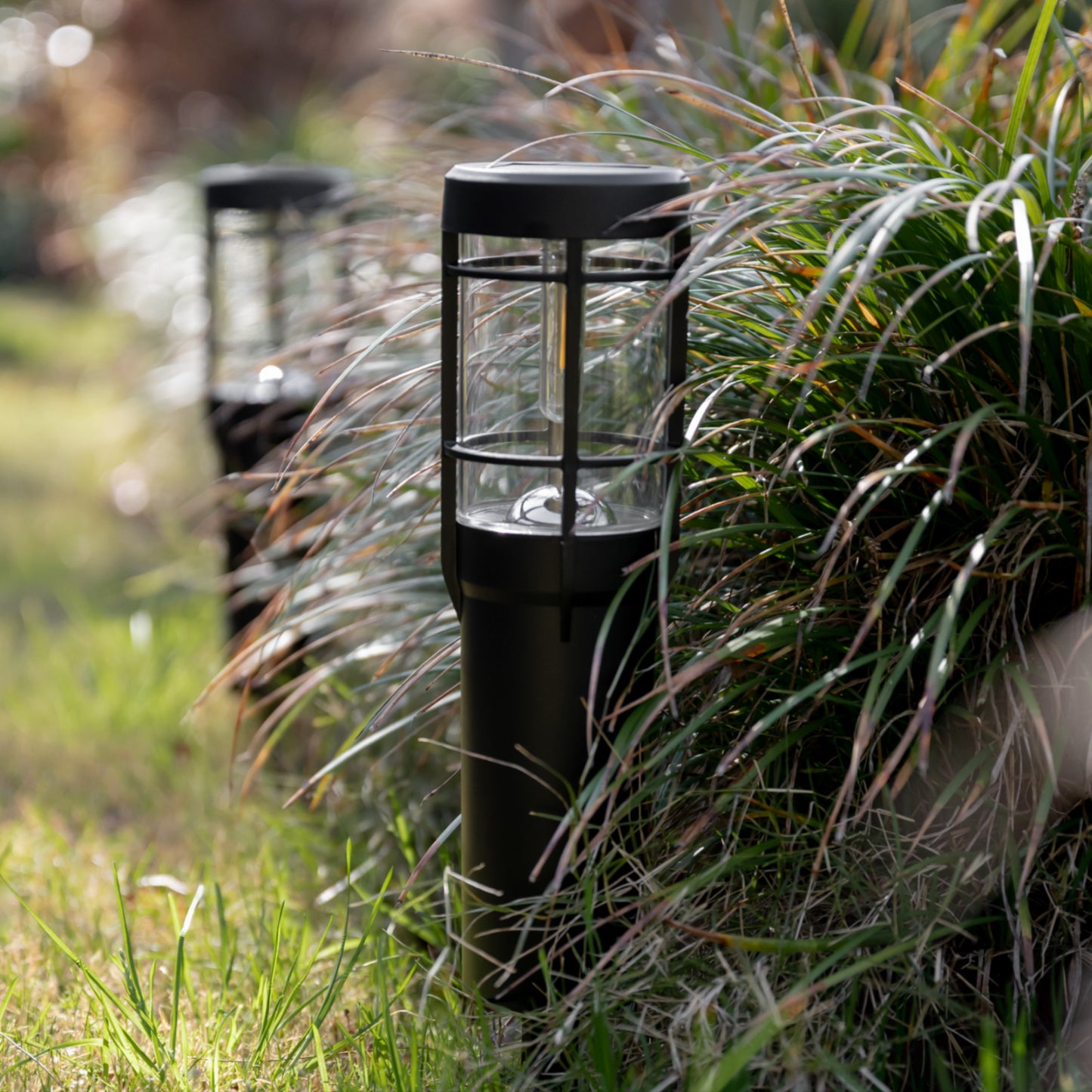 Two solar path lights in the grass in front of the green bush during the day