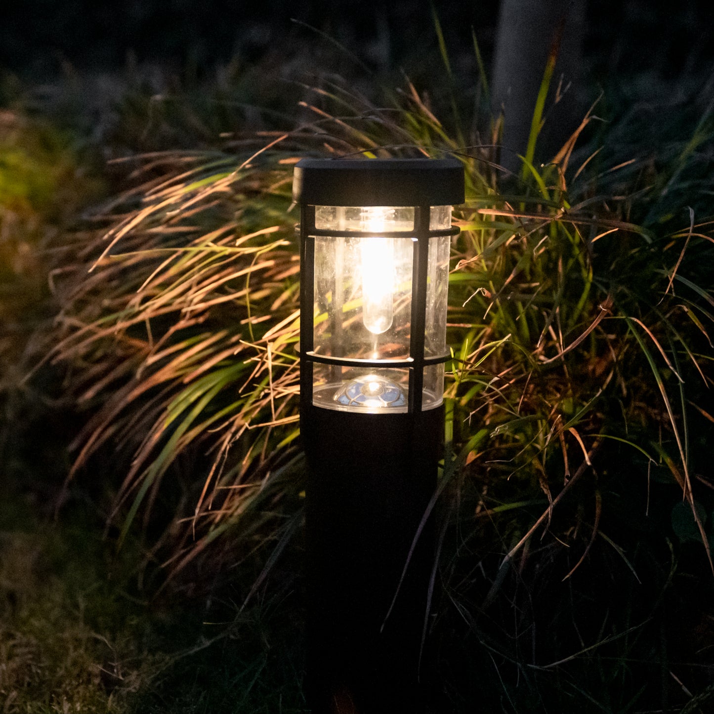 Solar light in front of green bush