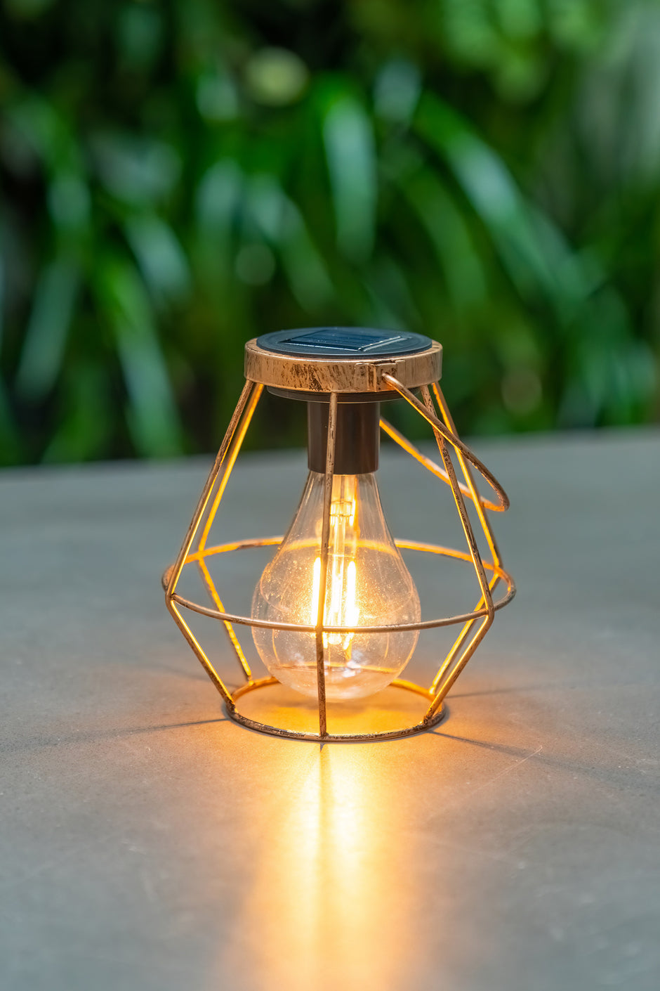 Best Solar LED Garden Lights Australia | Hoselink Solar Lights