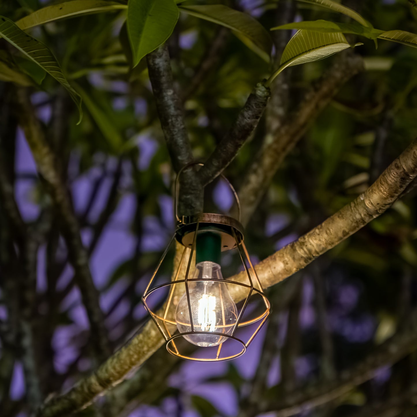 Industrial Style Solar Lantern | 2LED | Filament Globe | RUSTICA