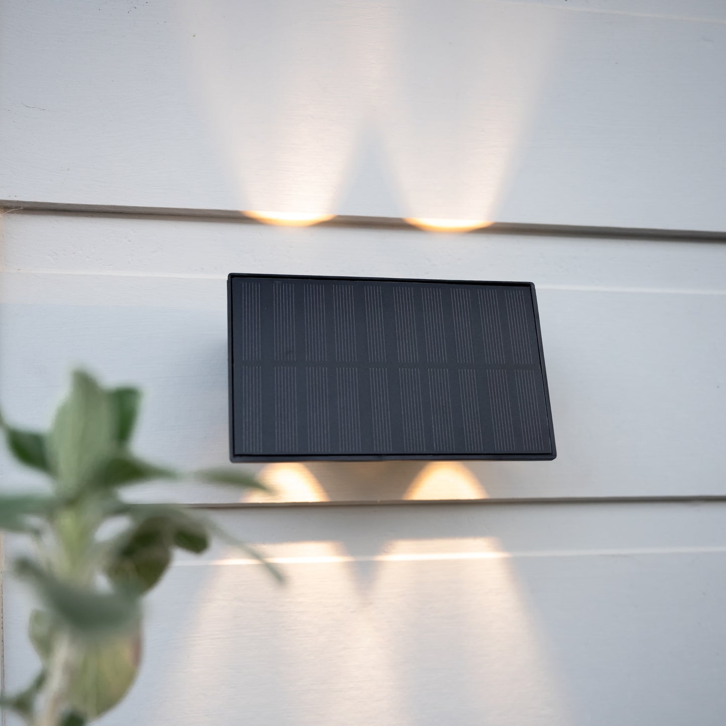 Solar Up & Down Wall Light | 4 LED | 2 Pack | Warm White | GALLERY