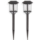 Two glass path solar lights on white background