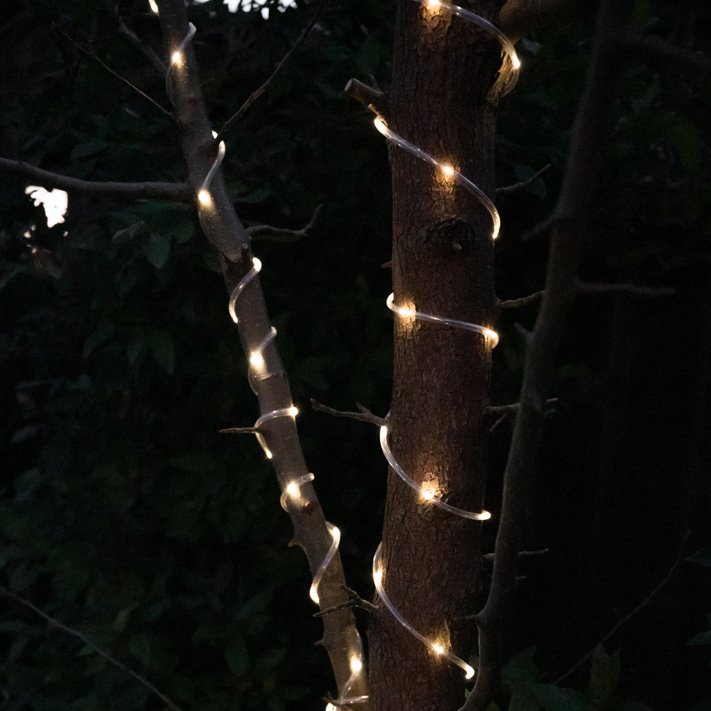 Solar Rope Light | LED | Warm White | 30m – Hoselink