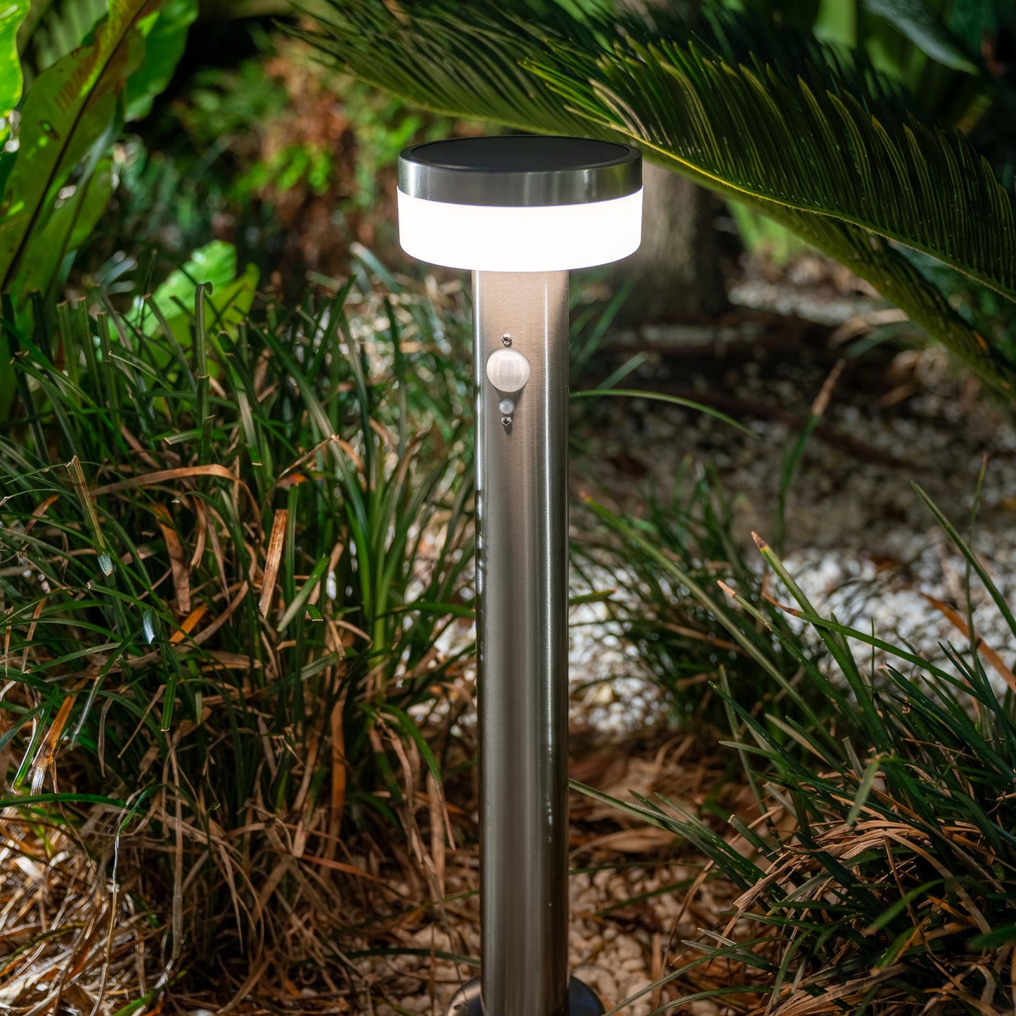 Stainless Steel Solar Bollard | Motion Sensor | LUMINOUS