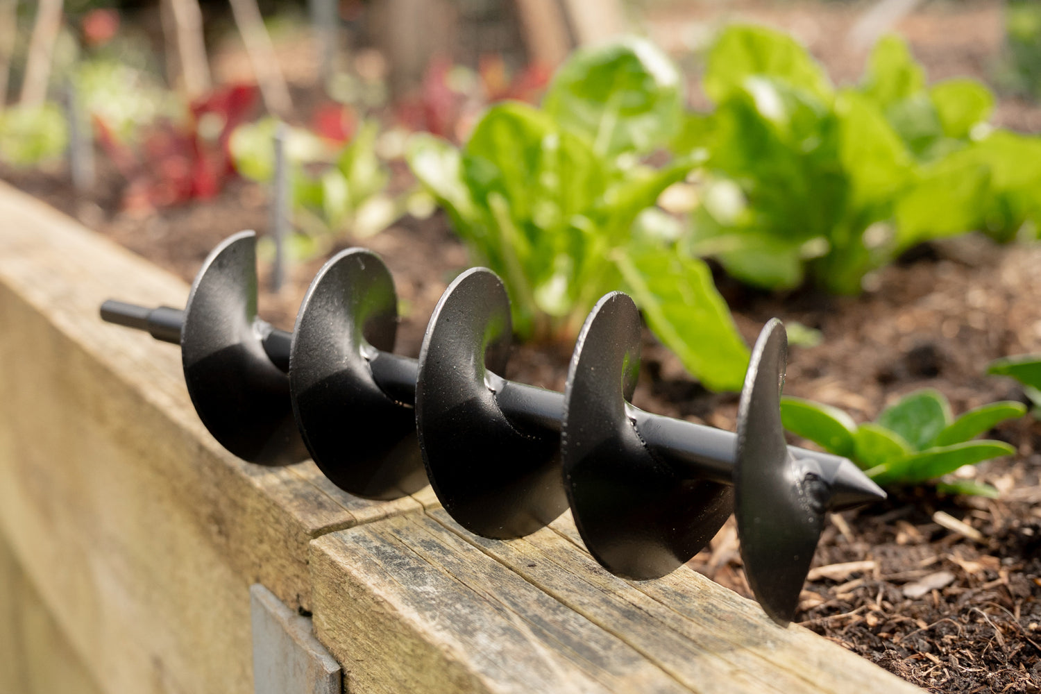 Large Garden Drill Auger resting on the edge of a raised garden bed in the vegetable patch