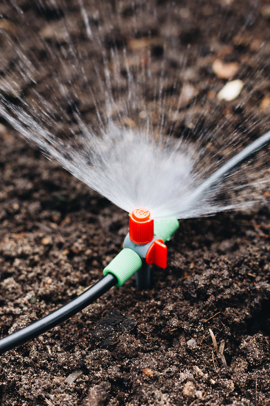 An image of a green and red small sprinkler head connected to black polypipe on dirt, with water spraying out on one side at a 180 degree radius.