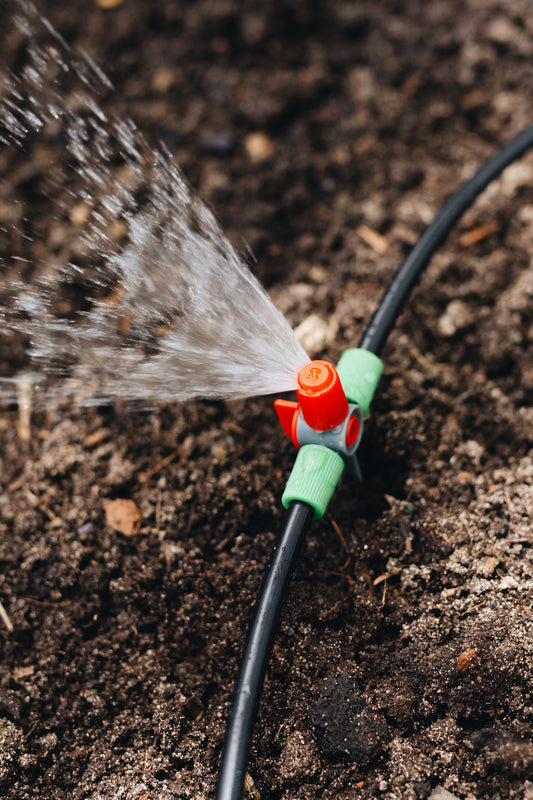 A close up image of a green and red sprinkler head connected to black polypipe on dirt, with water spraying on one side only with a ninety degree radius.