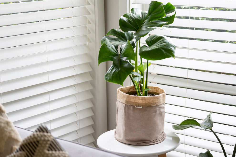 Buy Discount Garden Supply Online Hoselink