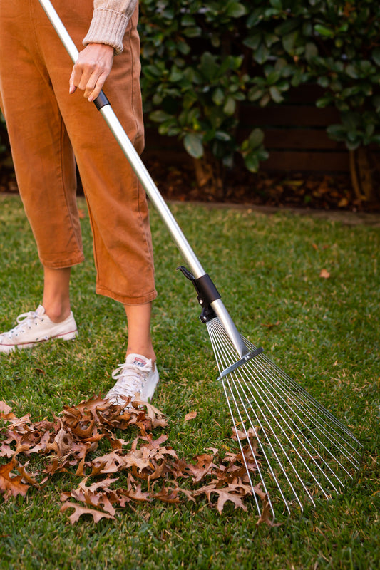 woman using rake to clean up leaves
