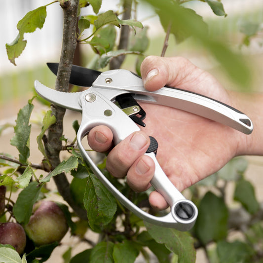 Ratchet Pruners