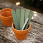 Set of five sage green recycled plastic plant labels arranged in a terracotta pot with a Hoselink marker pen