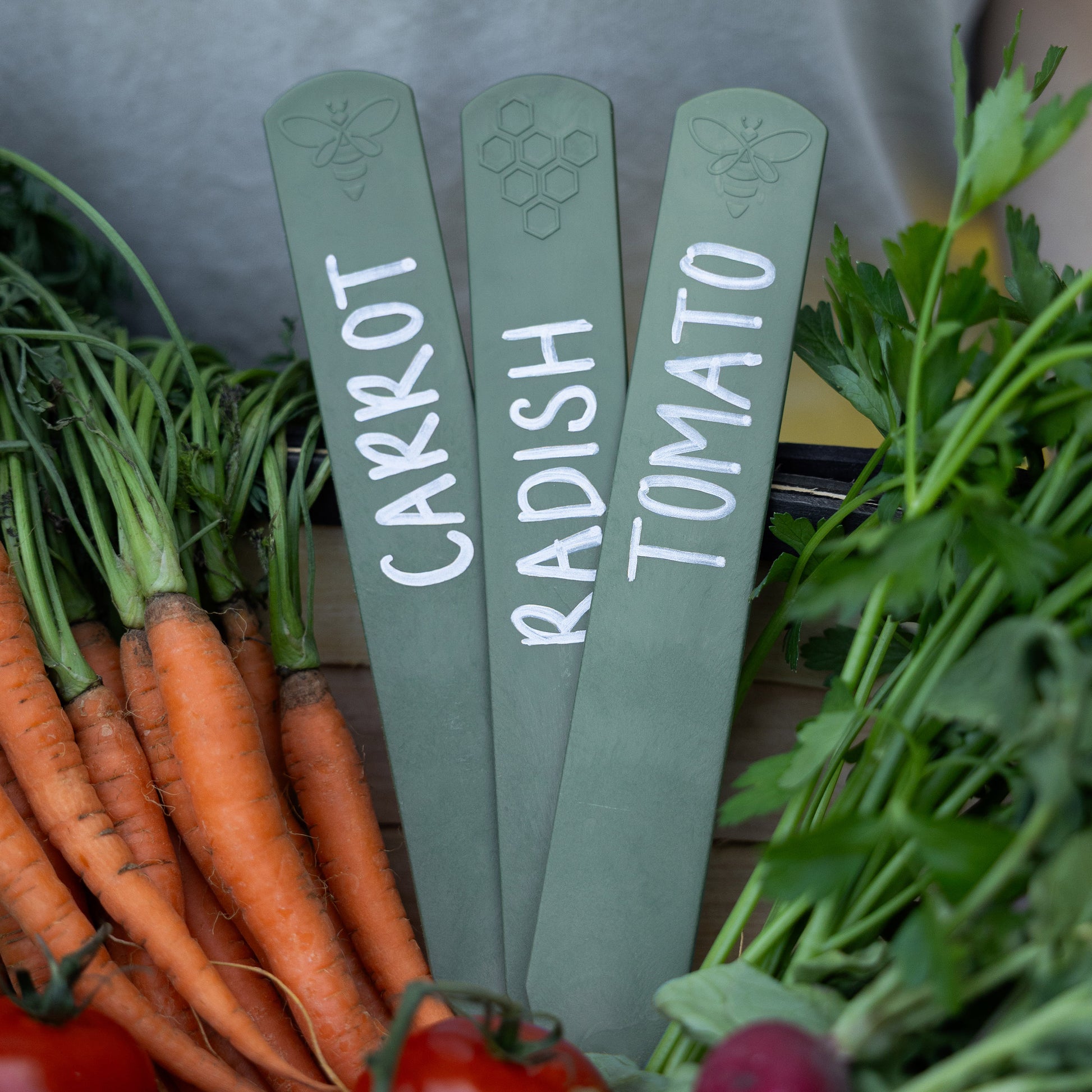 Set of three sage green recycled plastic plant labels with carrot, radish and tomato written on, arranged in a trug