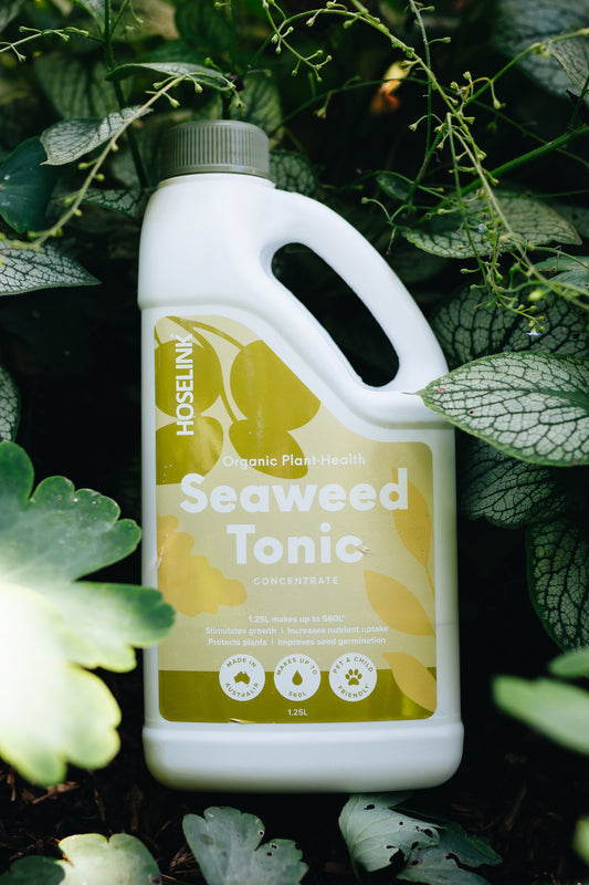 seaweed tonic amongst greenery