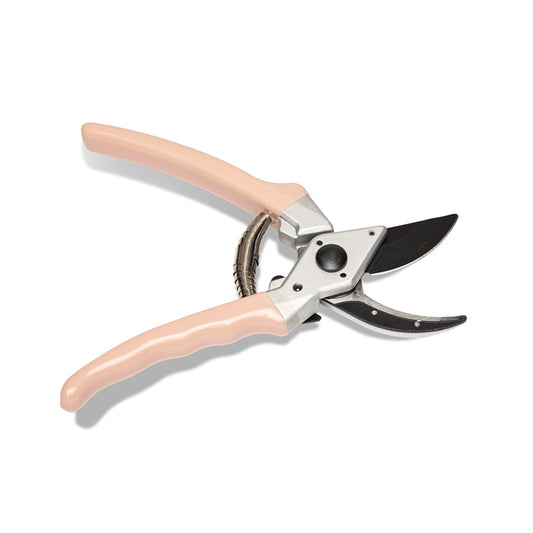 Peach Secateurs on a white background