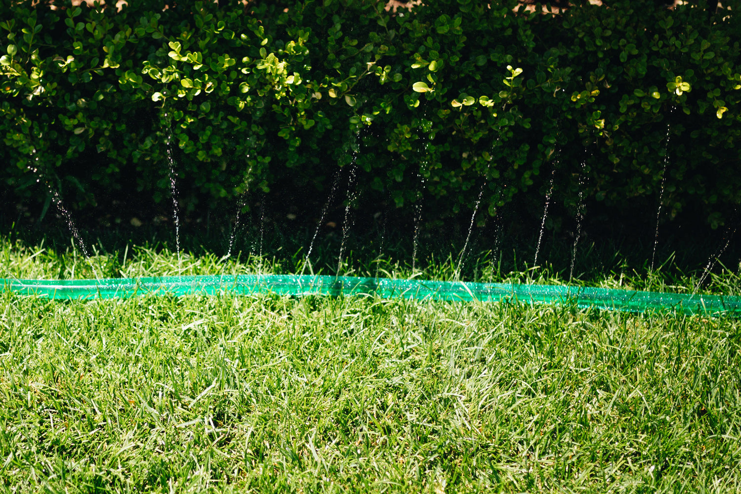 Soaker Hose Spraying Water Across a Green Lawn