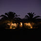Two palm trees in front of a house lit up at dusk with solar rope lights wrapped around them.