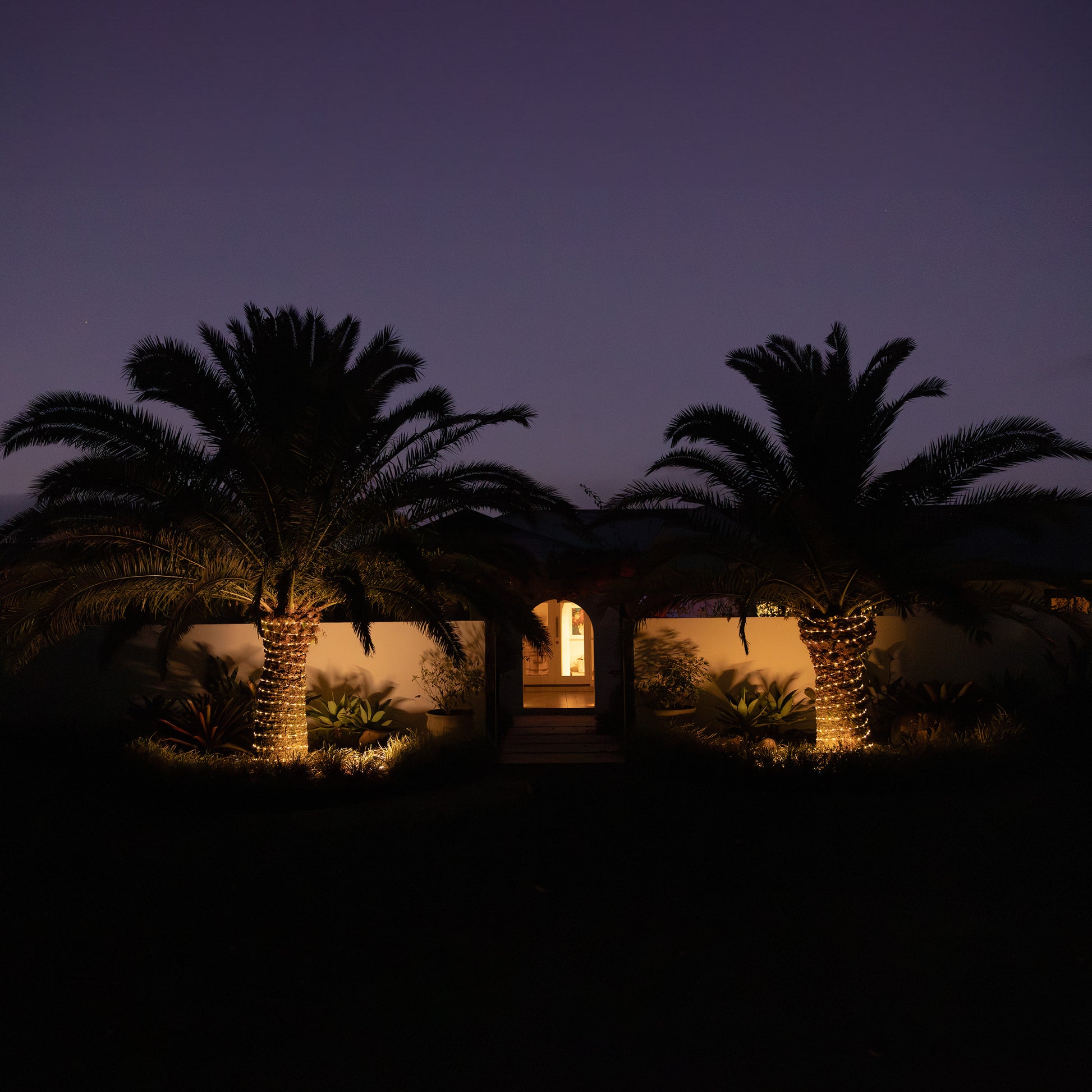 Two palm trees in front of a house lit up at dusk with solar rope lights wrapped around them.