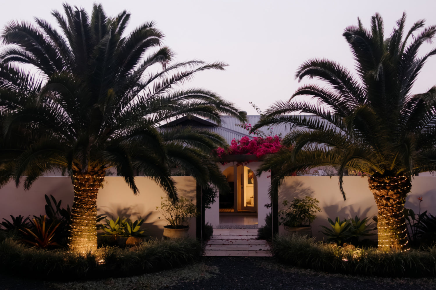 A symmetrical outdoor garden entrance at dusk with two tall palm trees, warm rope lights wrapped around their trunks, white walls, steps leading to a doorway, and bright pink flowers above the entrance.