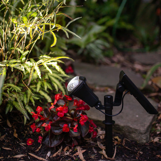 Adjustable Solar Garden Spotlight | Ground Spike | 5LED | FOCUS