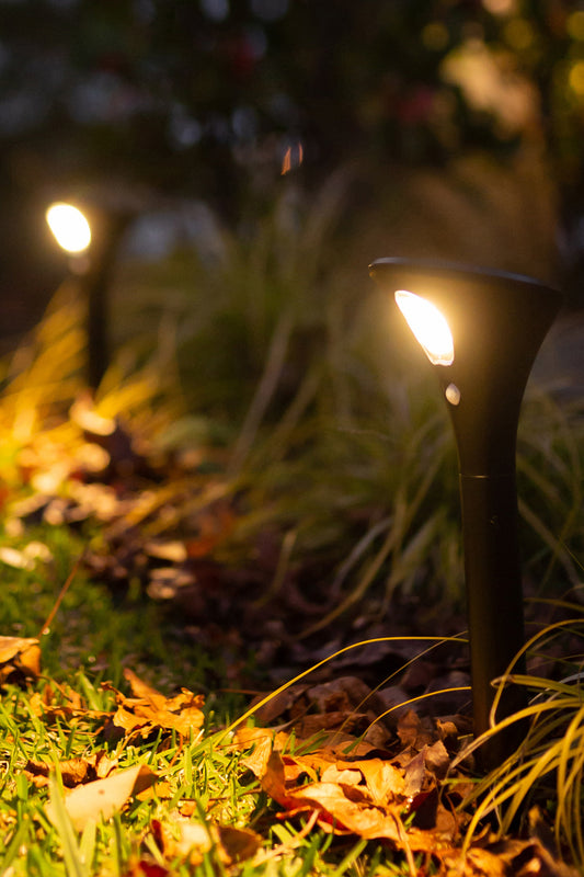 Two Compact Solar Path Lights lighting up the edge of a lawn at night