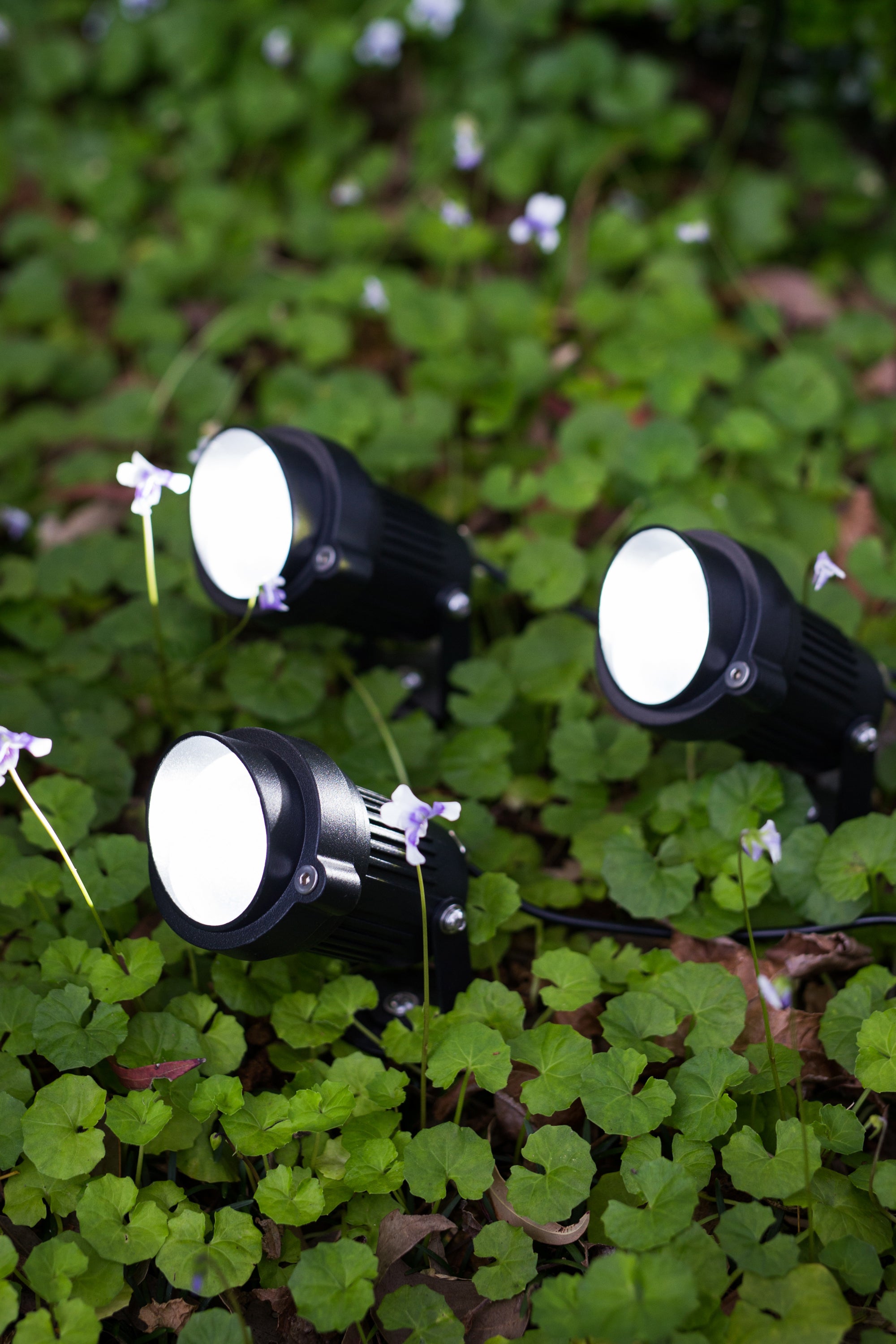Solar LED Garden Spotlights Australia Solar Powered Spotlights Hoselink
