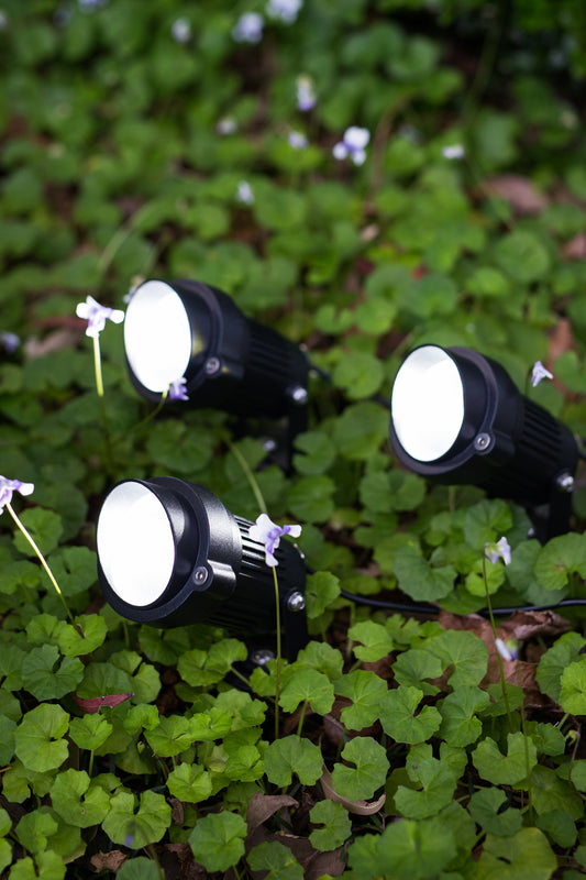 Three Solar Garden Spotlights turned on in a garden bed surrounding by greenery
