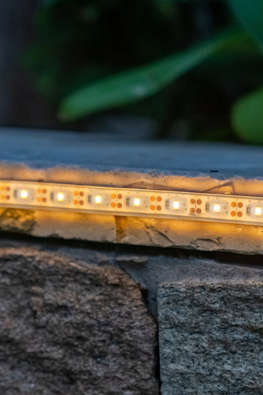 Close-up of a Solar Strip Light fixed to garden bed edging