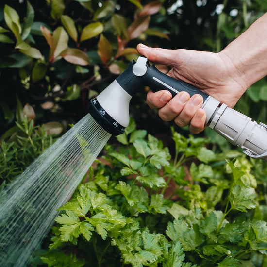 hand holding comfort 8 pattern sprayer and watering garden