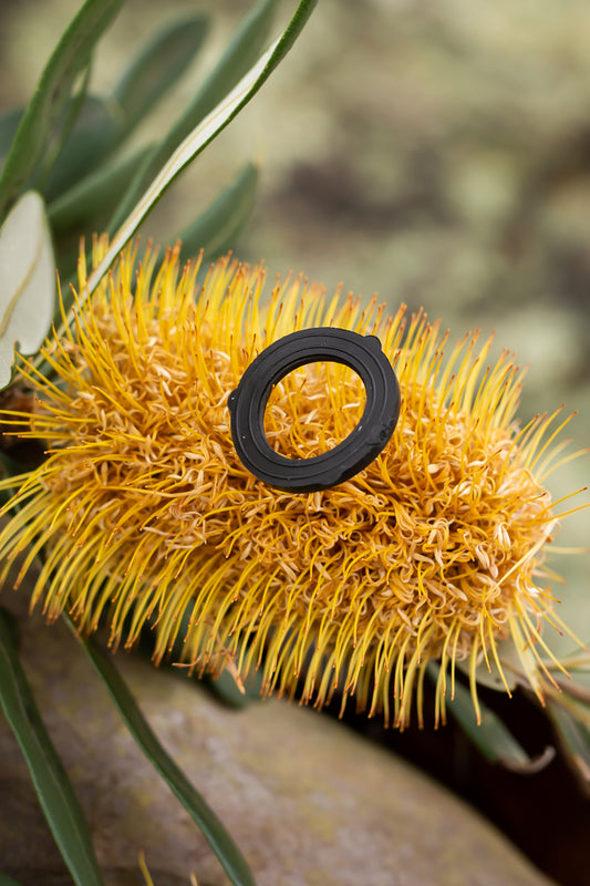 a black spare washer resting on Australian flora