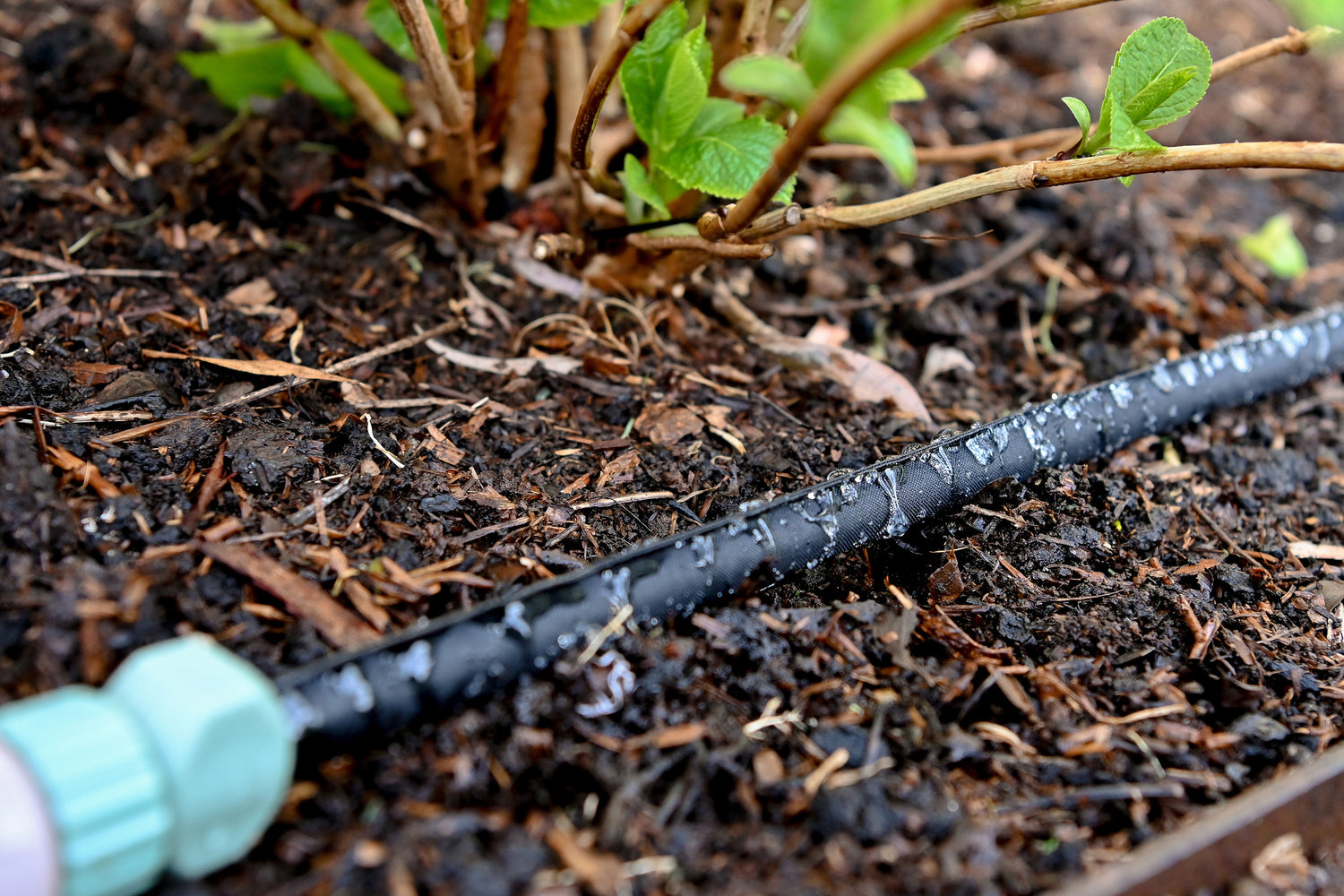 Weeper Hose Weeping Water Across Garden Soil