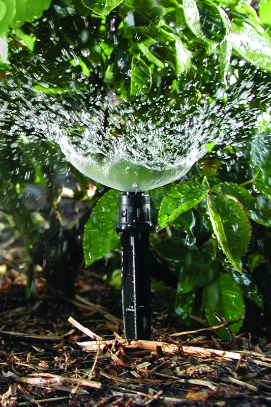 close-up of adjustable spray irrigation spike watering an leafy green plant