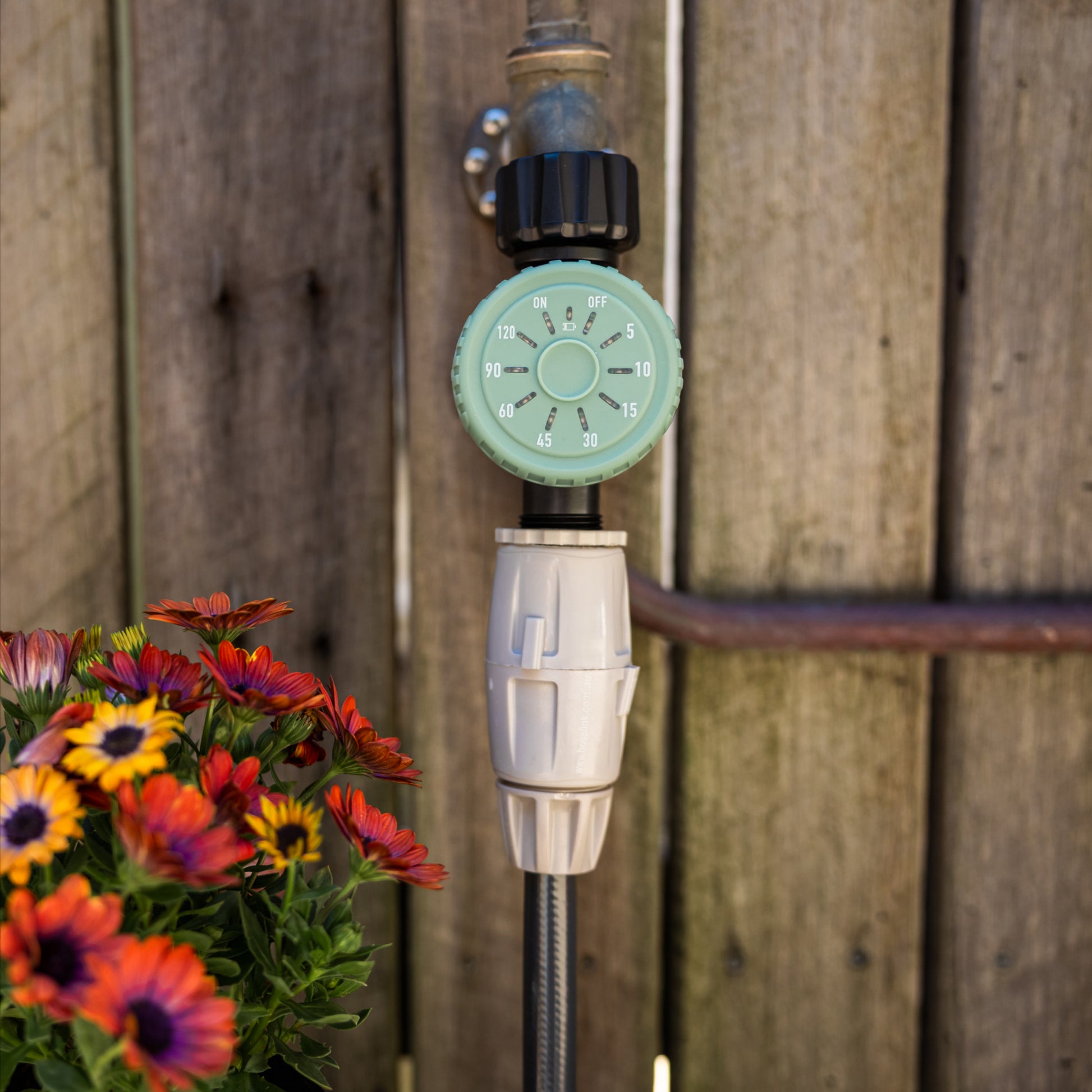 Sage garden tap timer with colorful flowers in front of a wooden fence