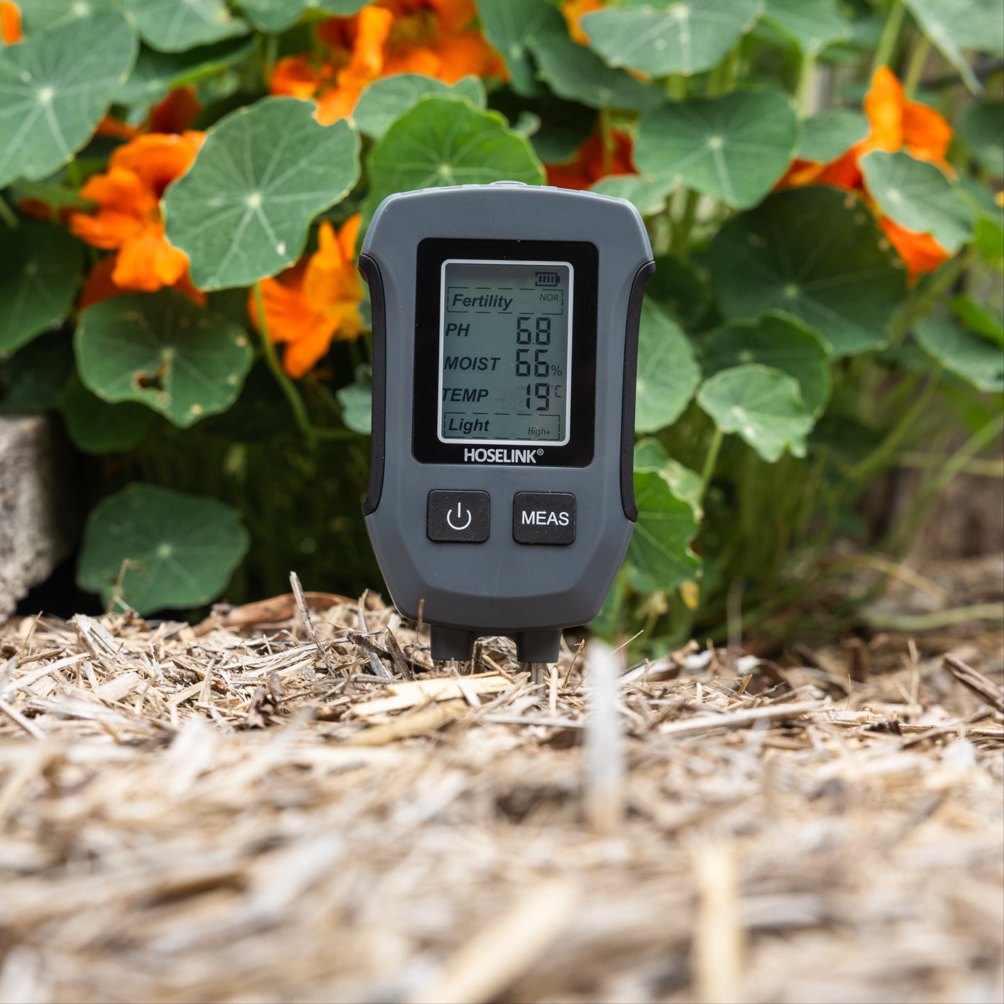 Soil meter turned on, inserted in a garden bed with a overing of mulch with Nasturtiums in the background.
