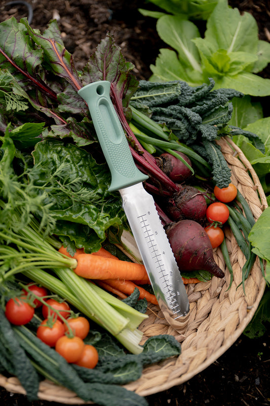 Garden knife laying in basket of vegetables