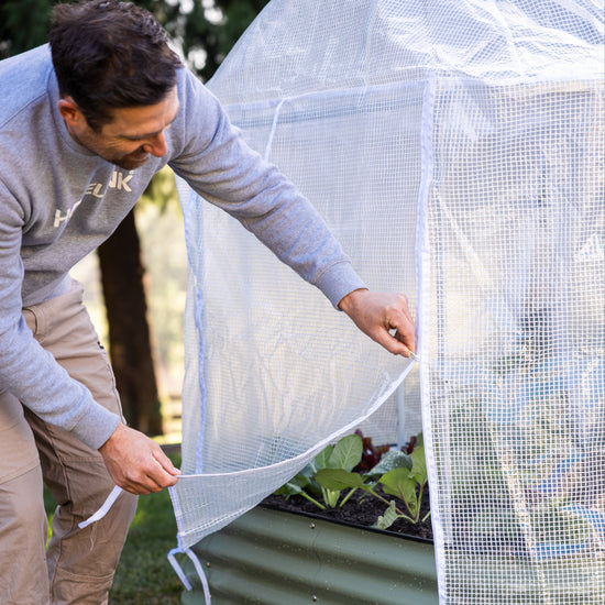 Man opening greenhouse cover