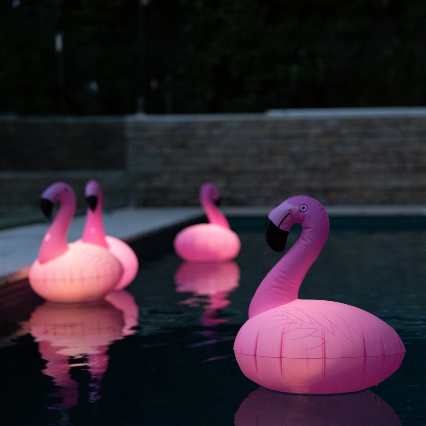 Solar Inflatable Pool Light | 5LED | 2 PACK | FLAMINGO