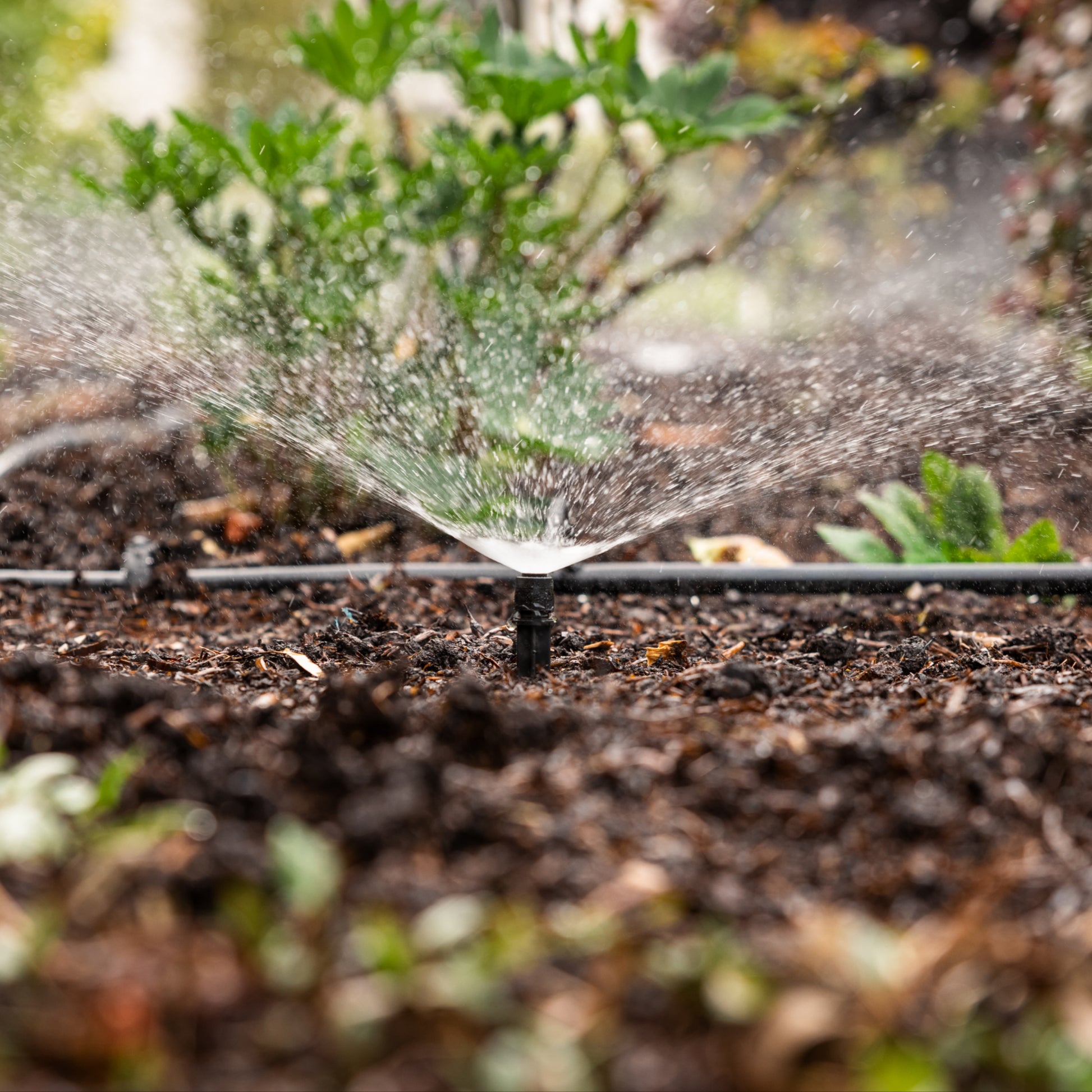 Adjustable spray spike watering a garden bed with plants and soil.