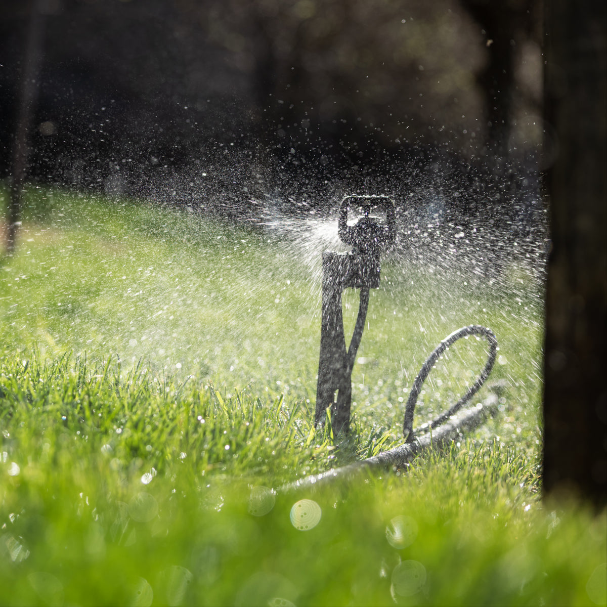 Sprinkler Tree Irrigation Sprinkler Kit | Under Tree Watering | Hoselink