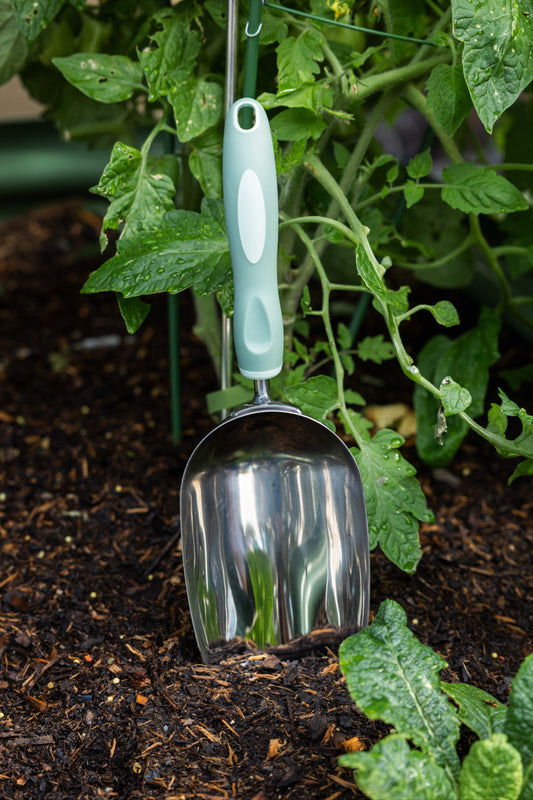 Large potting scoop sitting up against a tomato plant in a garden bed