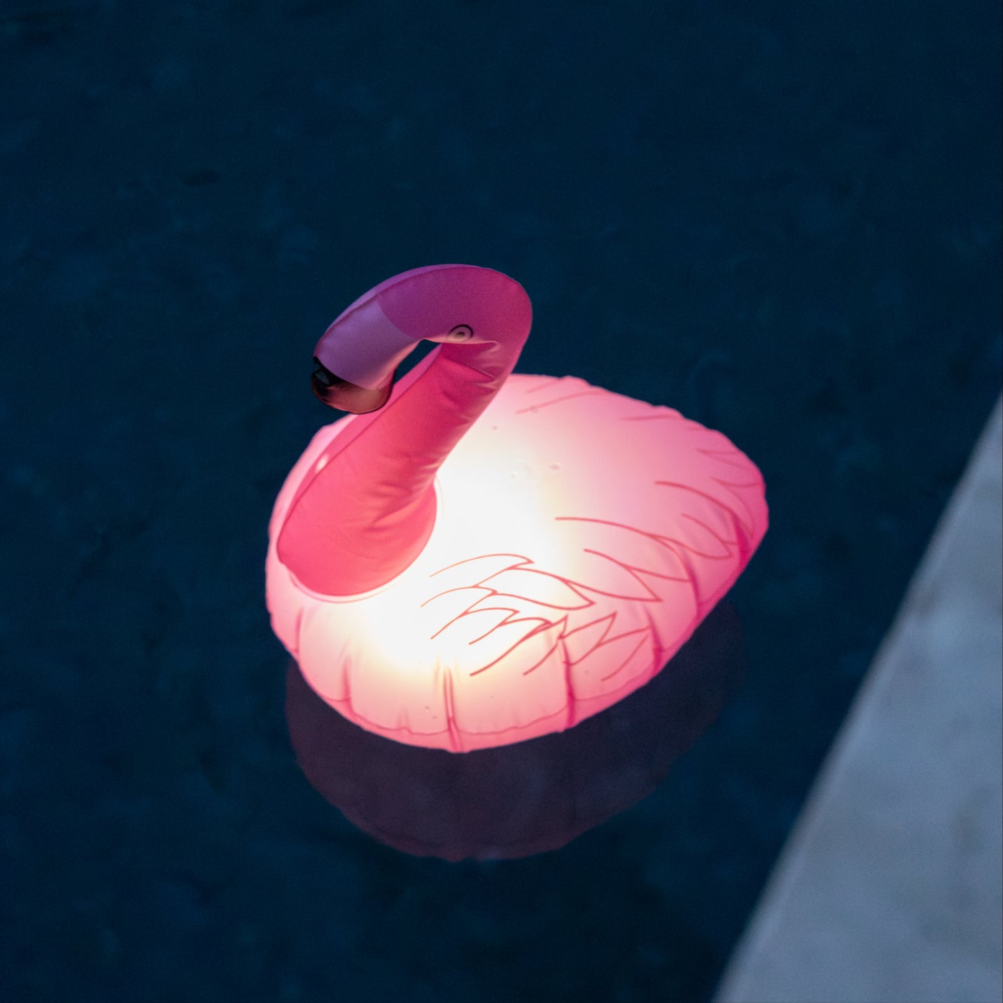 Solar Inflatable Pool Light | 5LED | 2 PACK | FLAMINGO