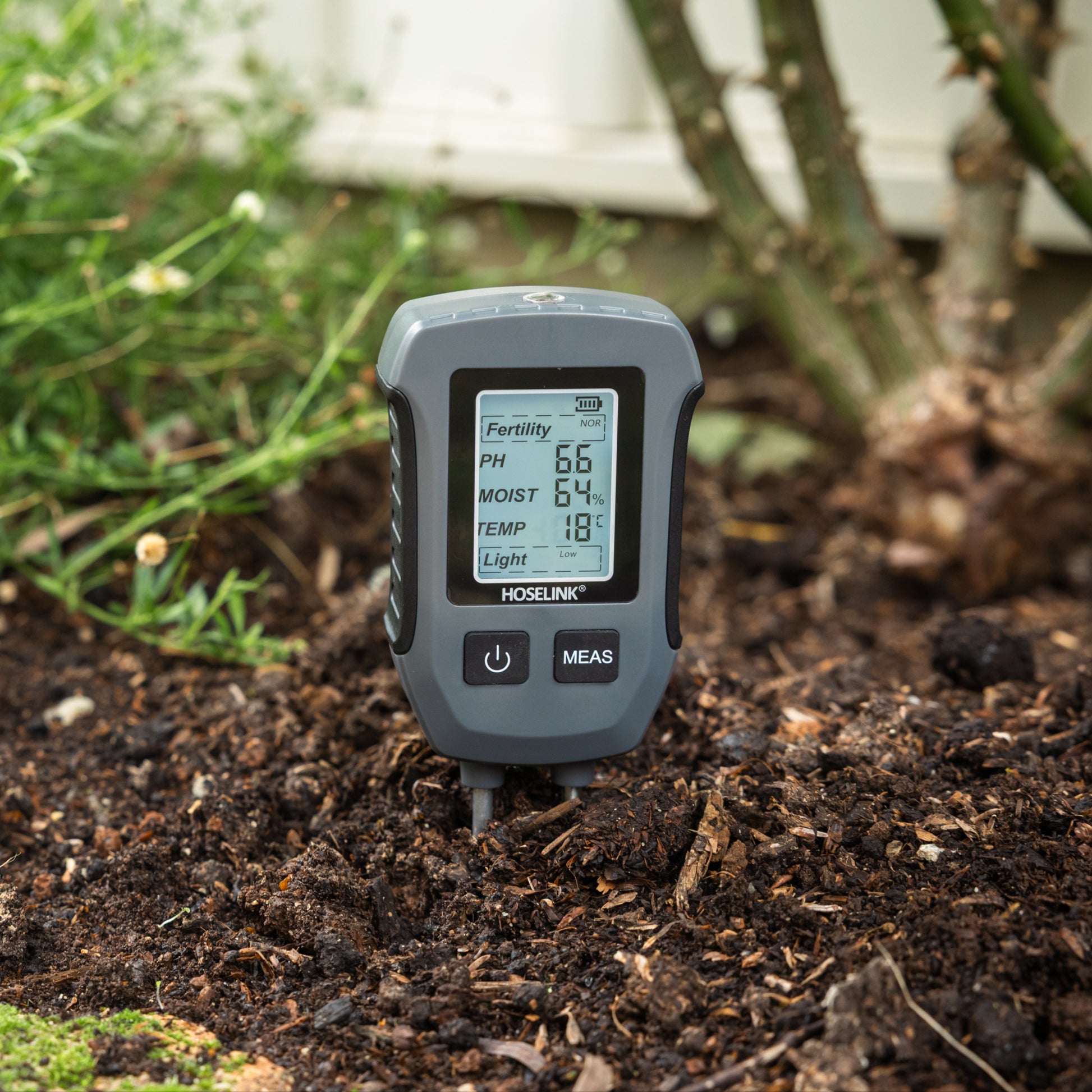 Soil meter turned on, inserted into the dirt.