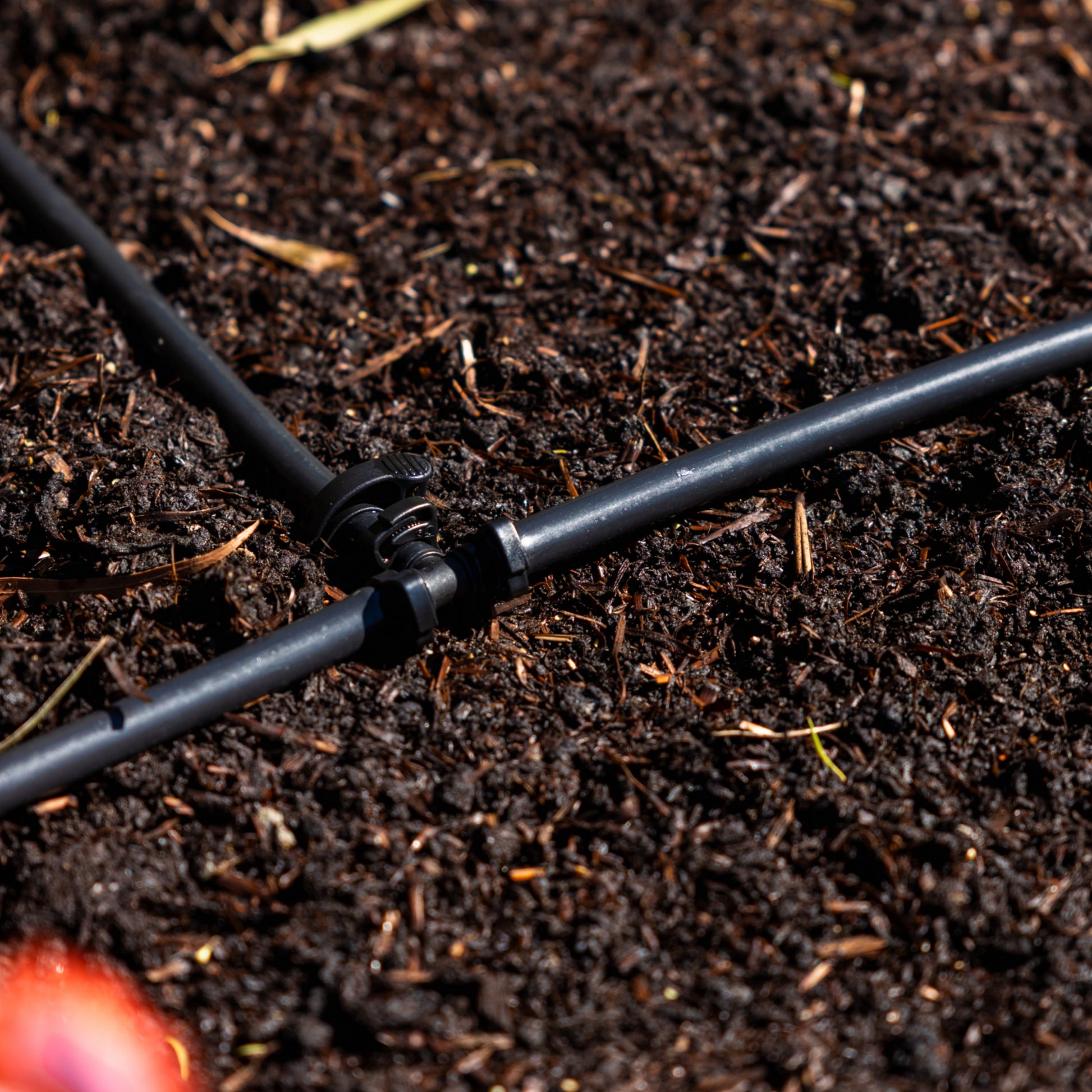 main-line irrigation tubing on dark soil
