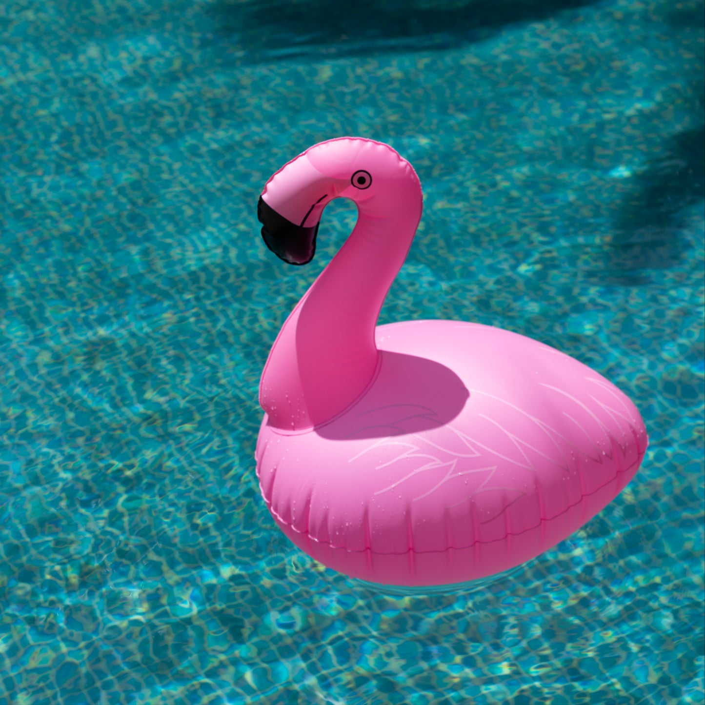 Solar Inflatable Pool Light | 5LED | 2 PACK | FLAMINGO