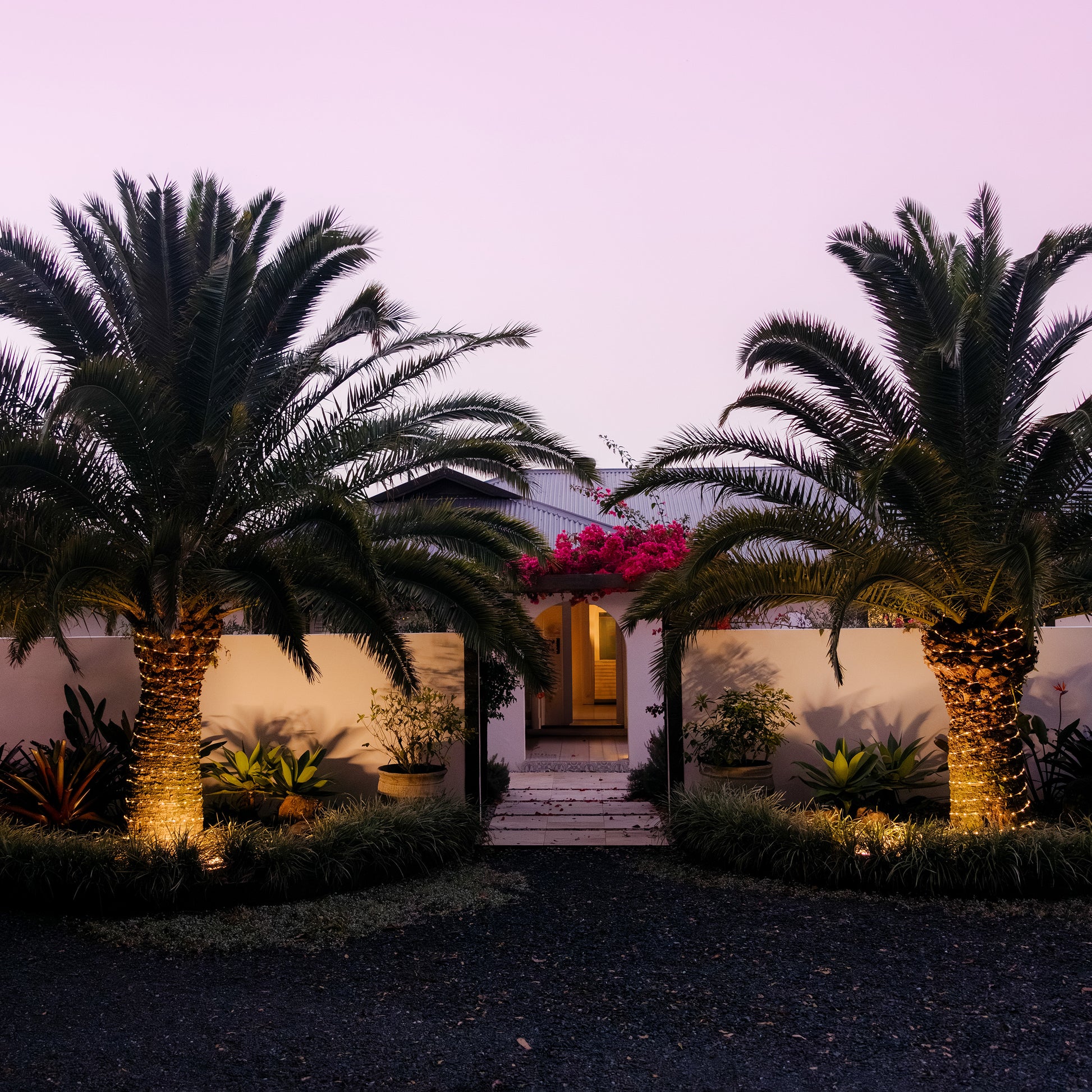 Two palm trees outside a house with solar LED rope lights wrapped around them turned on at dusk