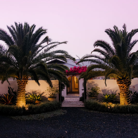 Two palm trees outside a house with solar LED rope lights wrapped around them turned on at dusk