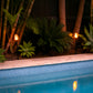 Two Solar Tiki Torch Lights installed in tropical garden next to pool