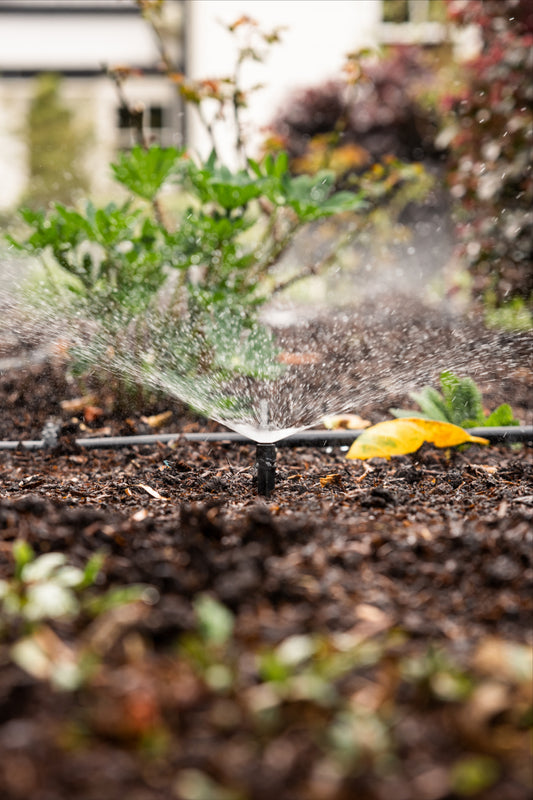adjustable spray spike watering a garden bed with plants and mulch.